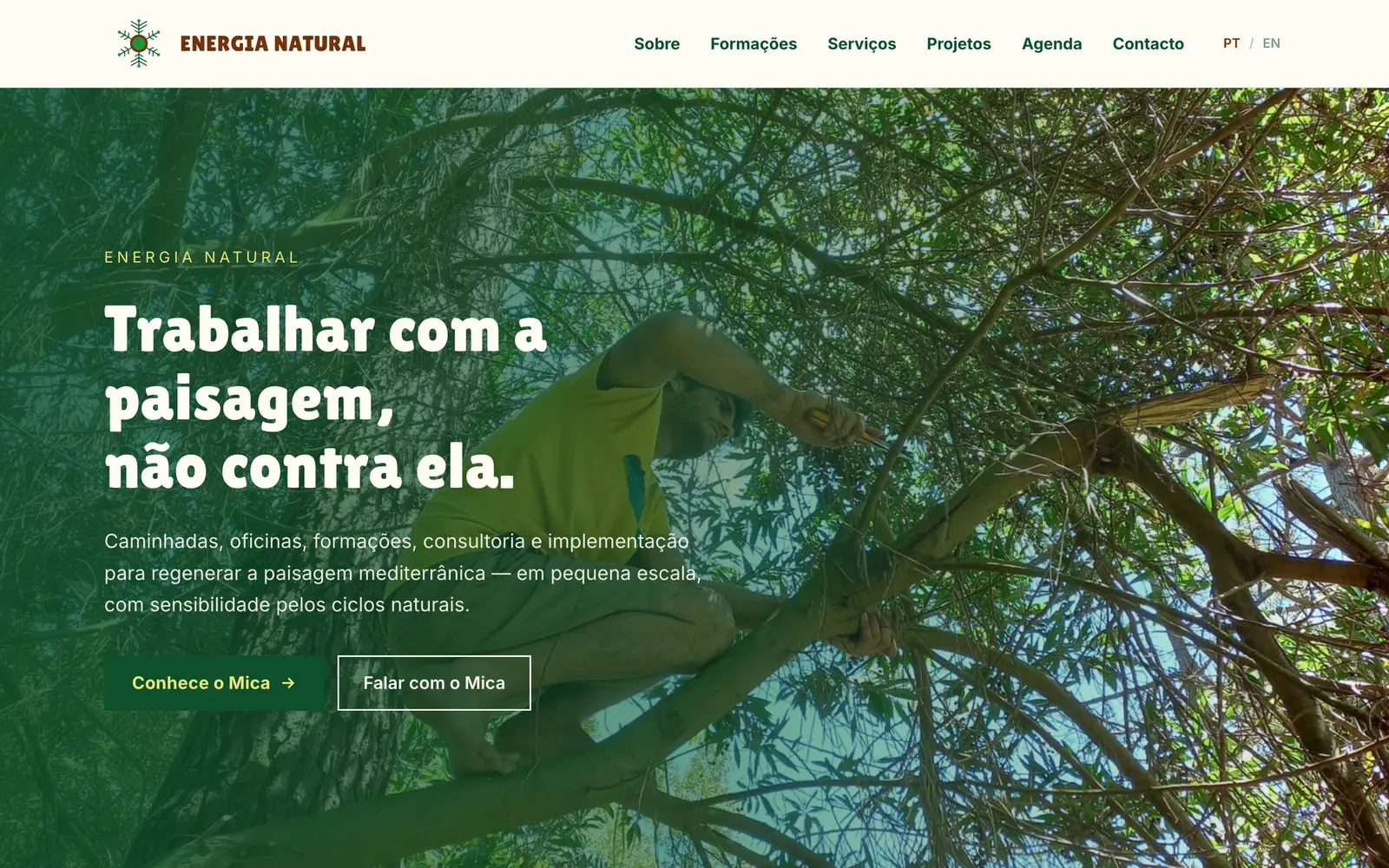 Energia Natural