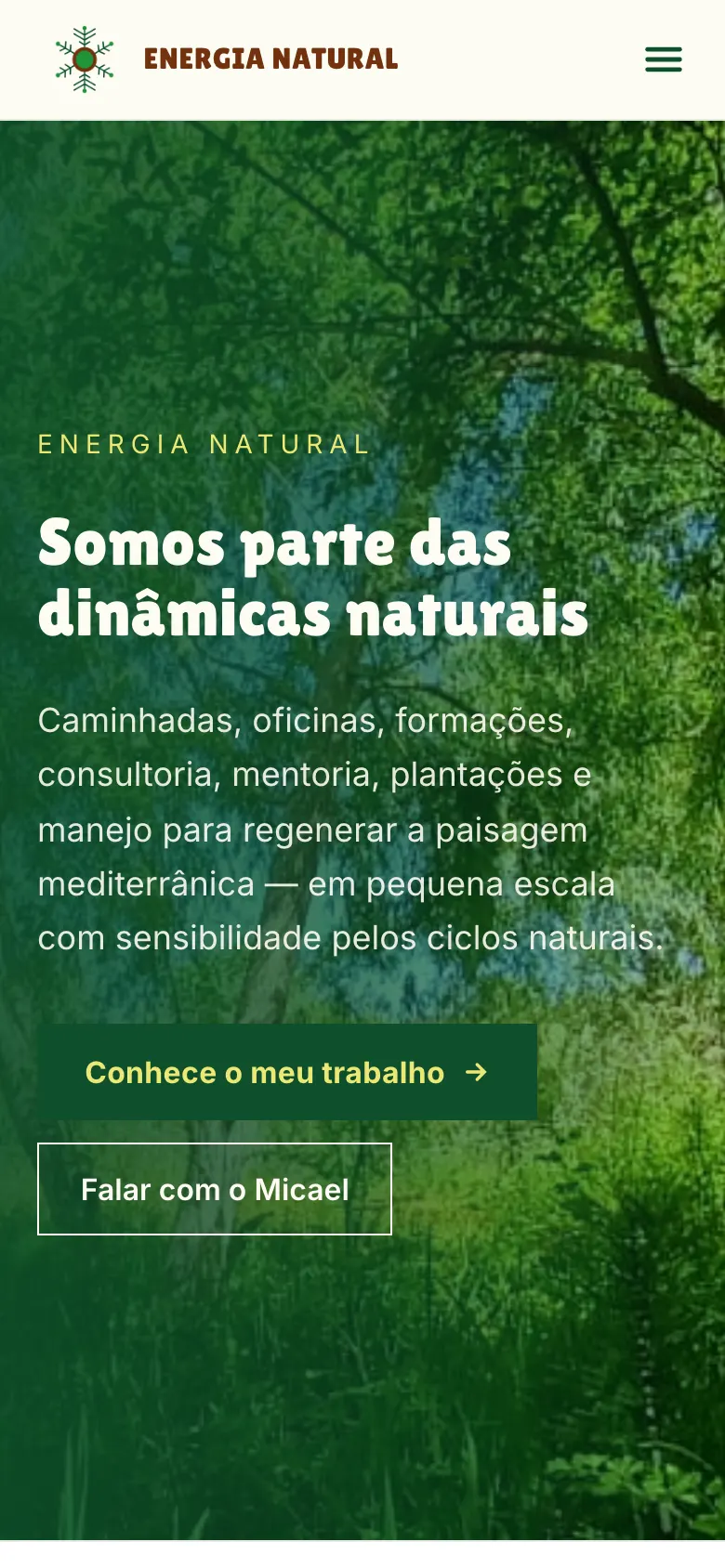 Home page of the Energia Natural website