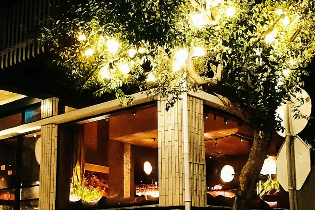 Fachada do restaurante Mesa dos Amigos iluminada à noite, com decoração de árvore luminosa
