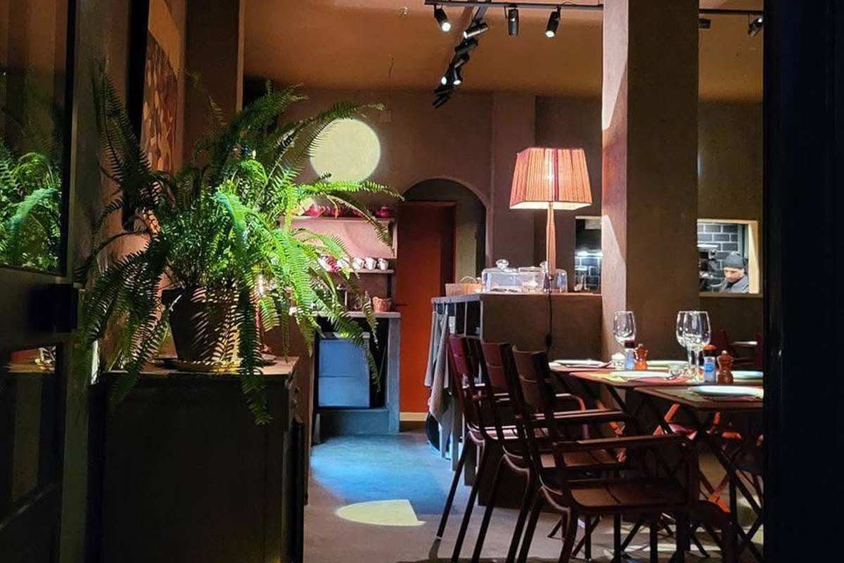 Espaço íntimo com mobiliário de madeira, fetos decorativos e candeeiros de ambiente